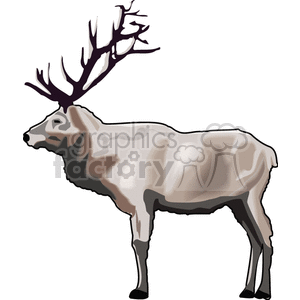 This image depicts a clipart illustration of a deer, specifically a buck, as indicated by its large antlers. The deer has a tan coat with shading to create a sense of dimension.