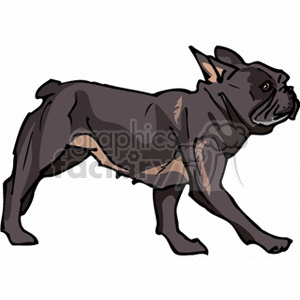 The image features a clipart of a pug, which is a breed of dog known for its distinctive features such as a short-muzzled face and a curled tail. The dog is depicted in a side view with its body in profile, showcasing its compact, muscular structure. The pug appears to be walking or in motion.