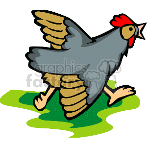 This clipart image depicts a cartoon chicken. The chicken is predominantly grey with a red comb on its head and appears to be in motion, with one wing raised as if flapping. It stands on a patch of green, which suggests grass, indicating an outdoor setting typically associated with a farm environment.
