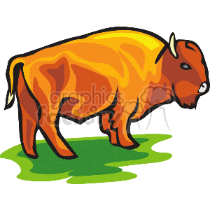 This is a stylized clipart image of a bison, standing on what appears to be grass. The bison is predominantly orange and yellow with some shading that gives it a bit of depth. It has horns and a beard, which are common features of a bison.