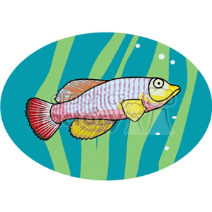 The image features a colorful cartoon fish with stripes swimming underwater among green aquatic plants.