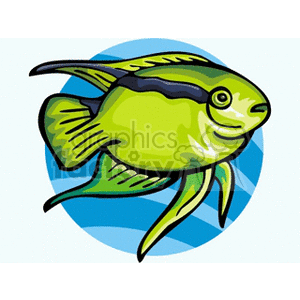 The clipart image shows a stylized representation of a tropical fish. The fish appears to be green with dark striping and has distinctive fins.