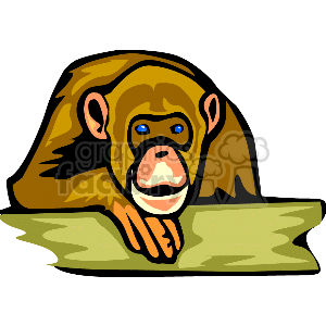 The image is a clipart illustration of a monkey, more specifically, a chimpanzee. The chimpanzee has brown fur and its face is shown with a clear distinction between the darker skin around the eyes and the light color on its face. It appears to be peeking over some kind of barrier or surface. The style is simple and cartoonish, suggestive of an image that might be used for educational purposes or as a graphic in a lighthearted context.