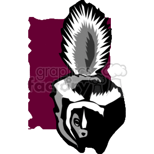 The clipart image features a stylized representation of a skunk, which is depicted with its distinctive black and white coloration and raised tail. The skunk appears to be in a defensive posture, which is suggested by the raised tail, a typical behavior skunks exhibit when threatened as they prepare to spray their well-known foul-smelling defense mechanism. The background of the image is a solid color, which contrasts with the skunk's coloring, highlighting its features.