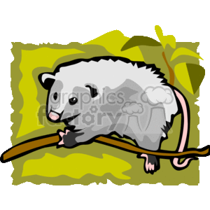 This is a stylized clipart image of an opossum.  They are not rodents, even though they are sometimes mistakenly grouped with them due to their size and appearance. The background appears to be an abstract, simplified representation of foliage, suggested by the green shapes and yellow outlines.