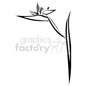 The image is a black and white line drawing that depicts a plant with several leaves and what appears to be a flower or bud at the end of a slender stalk. It is a simple, minimalist representation often used for various graphic design purposes, such as illustrations, logo designs, and to enhance textual content with visual elements.