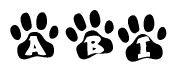 The image shows a series of animal paw prints arranged in a horizontal line. Each paw print contains a letter, and together they spell out the word Abi.