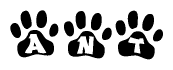 The image shows a series of animal paw prints arranged horizontally. Within each paw print, there's a letter; together they spell Ant