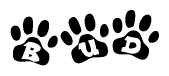 The image shows a series of animal paw prints arranged in a horizontal line. Each paw print contains a letter, and together they spell out the word Bud.