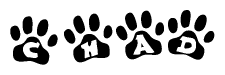 The image shows a row of animal paw prints, each containing a letter. The letters spell out the word Chad within the paw prints.