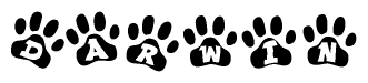 The image shows a series of animal paw prints arranged in a horizontal line. Each paw print contains a letter, and together they spell out the word Darwin.