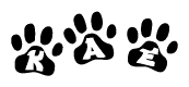 The image shows a series of animal paw prints arranged in a horizontal line. Each paw print contains a letter, and together they spell out the word Kae.