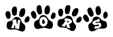 The image shows a row of animal paw prints, each containing a letter. The letters spell out the word Nors within the paw prints.