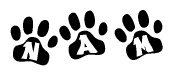 The image shows a series of animal paw prints arranged horizontally. Within each paw print, there's a letter; together they spell Nam