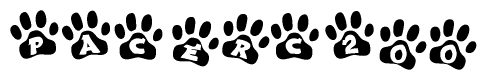 The image shows a row of animal paw prints, each containing a letter. The letters spell out the word Pacerc200 within the paw prints.