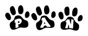The image shows a row of animal paw prints, each containing a letter. The letters spell out the word Pan within the paw prints.