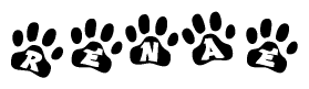 The image shows a row of animal paw prints, each containing a letter. The letters spell out the word Renae within the paw prints.