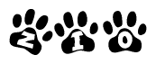 The image shows a series of animal paw prints arranged horizontally. Within each paw print, there's a letter; together they spell Zio
