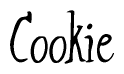 The image contains the word 'Cookie' written in a cursive, stylized font.