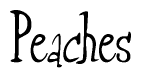 The image is of the word Peaches stylized in a cursive script.