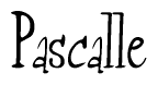 The image is of the word Pascalle stylized in a cursive script.