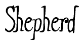 The image is a stylized text or script that reads 'Shepherd' in a cursive or calligraphic font.