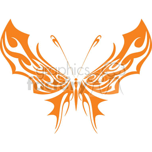 Orange Butterfly with wide wings