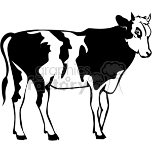 This clipart image features a stylized black and white silhouette of a juvenile Holstein cow, which is a breed commonly associated with dairy farms due to their high milk production.