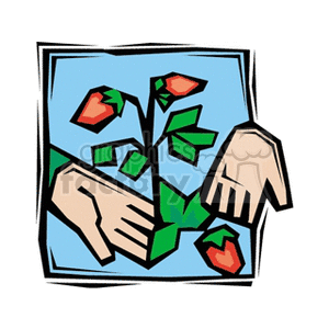 The clipart image features a stylized representation of a strawberry plant with ripe strawberries being picked by a hand. The strawberries look red and juicy, there are leaves visible on the plant, giving an overall impression of fresh fruit ready to be picked from an agricultural setting.