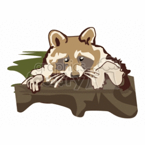 The image is a clipart illustration showing a single raccoon sitting and leaning forward with its paws resting on what appears to be the edge of an object, possibly a bin or a surface. The raccoon appears to be peering over the edge with a curious or attentive expression. The style is cartoonish, and the raccoon is depicted with its characteristic facial mask and striped tail, which are typical features of the species.