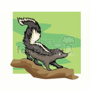 The clipart image features a cartoon skunk with its tail raised, which typically signifies a defensive posture as skunks lift their tails when they are preparing to spray their scent as a defense mechanism. The skunk has a distinctive black and white coloring with a white stripe running down its back and tail. The background appears to be a stylized outdoor setting with green tones.