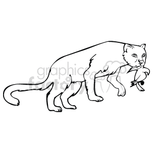 The image depicts a line drawing of a panther with a bird in its mouth. There is long grass of bushes behind 