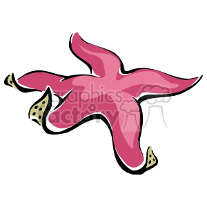 The image is a simple clipart of a pink starfish with five arms. Each arm has a couple of small, beige-colored accents that resemble natural patterns found on a starfish's body. The image is cartoonish in style with black outlines emphasizing its shape.