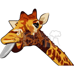The clipart image displays the head and neck of a giraffe with its tongue sticking out to one side. The giraffe has characteristic brown spots and horns known as ossicones.