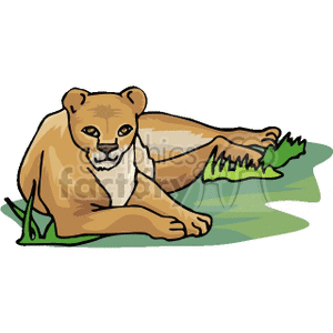 The clipart image depicts a cartoon of a resting lioness. The lioness is illustrated in a relaxed pose, lying down with one front paw extended. She is colored in tans and browns, indicative of her species' natural coloring. The background features simple green grass, adding to the portrayal of a serene environment typically found in a savanna where lions may rest.