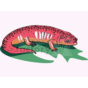 This clipart image depicts a stylized, cartoon-like red salamander with black spots on its back, resting on a green leaf.
