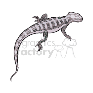 The clipart image depicts a stylized lizard. This reptile is designed with various shades of gray and has patterns on its back and tail. It has four legs and a long, undulating tail, typical characteristics of a lizard. Based on the information provided with the keywords, it might be representing an iguana or a common western fence lizard, although it should be noted that iguanas are typically more colorful and fence lizards do not exactly resemble the image shown.