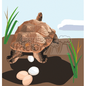 The clipart image depicts a sea turtle laying eggs on a sandy beach. The turtle is shown in the process of depositing white eggs into a pit it has presumably dug. There are some green plants, a cloud, and a hint of a blue sky in the background, setting the scene as a natural beach habitat.