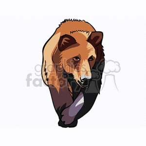 The image is a clipart illustration of a forward-facing bear. The bear appears to be a grizzly bear, characterized by its brown fur with some darker areas around the legs and parts of the face, and its distinguished hump above the shoulders. It has a slight snout and rounded ears, along with attentive eyes, giving it a lifelike appearance while still maintaining a stylized, graphic quality.