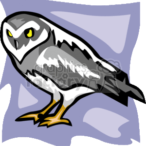 The image is a stylized clipart of a barn owl. It has pronounced yellow eyes, a sharp beak, and its feathers are depicted in shades of gray and white, characteristic of many owl species. The background comprises abstract shapes in various shades of purple. The owl is standing on its two feet, and the overall design is simplified, which is common in clipart images.