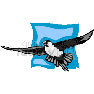 The clipart image features a stylized depiction of a flying seagull with its wings spread wide. The background appears to be a simplified representation of a sky, possibly indicated by a blue shape that could be interpreted as a light sky blue banner or the edge of a flag fluttering in the wind. The seagull is shown in mid-flight, with its beak open as if it is calling or squawking. 