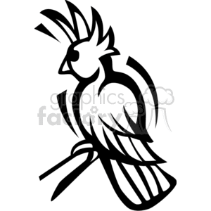 The image is a black and white clipart of a cockatiel, which is a popular pet bird known for its distinctive crest and tail feathers. It captures the bird in a profile view showcasing its crest, eye, beak, wings, and tail feathers with stylized abstract lines. This image might be used in various contexts, such as educational materials, pet care resources, or as a decorative element.