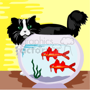 The image is a clipart illustration that features a black and white cat standing behind a fishbowl. Inside the fishbowl, there are three red fish swimming in the water.  The cat appears to be intently watching or possibly hunting the fish, a common behavior in felines which are natural predators. The background suggests an indoor setting with a yellow wall and what seems to be a brown surface on which the fishbowl is placed.