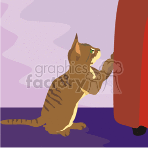 The clipart image features a brown-striped cat. The cat appears to be indoors and is interacting with a red curtain or drapery. The backdrop includes a purple floor and a wall with a combination of purple and white coloring, possibly depicting a window with light streaming through. The cat's pose suggests curiosity or playfulness, as it seems to be standing on its hind legs and reaching up with its front paws, a common feline behavior.