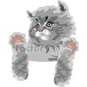 Gray fluffy kitten with outstretched paws