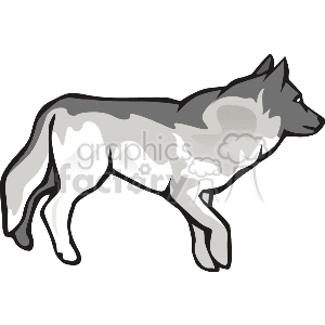 The clipart image contains a graphic of a wolf or a dog. It's depicted in shades of gray and white, with a stylized design that highlights its fur pattern and outlines its muscular physique, suggesting movement or a stride. The animal is profiled from the side, which allows a clear view of its body, legs, tail, and head.