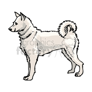 The image depicts a clipart illustration of a dog. The dog appears to be in a stand position, with its body profile shown. It has a pointed ears and a curled, bushy tail, suggesting characteristics of certain breeds like a Spitz or Husky.