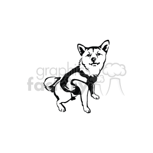 The clipart image shows a line drawing of a dog. The dog appears to be in an attentive stance, with ears perked up and its tail visible. The image captures the features and outline of the animal, making it a representation suitable for various design purposes involving pets or dogs.
