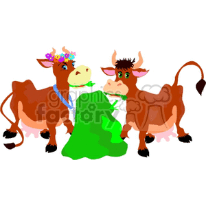Two cows eating a pile of grass
