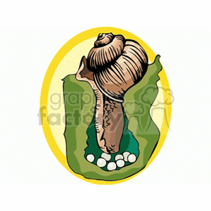 This clipart image features a stylized representation of a seashell, more specifically a conical snail shell. The shell appears to be on a backdrop of two green shapes that could represent leaves or a natural setting, with a yellow oval outline surrounding them. Below the seashell are several smaller, round white objects that could be pebbles or pearls.